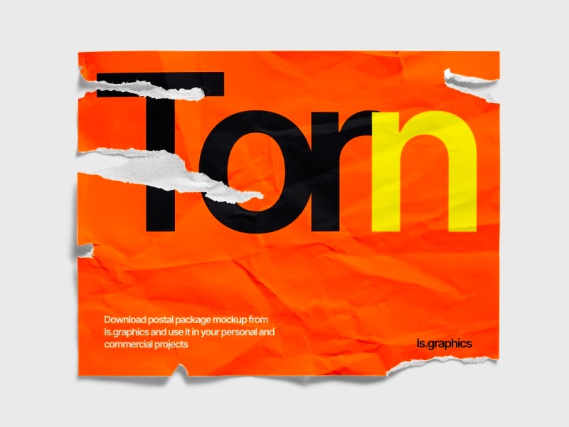 Torn Simple US Poster 02